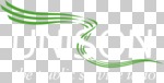 UNISON logo – white/green